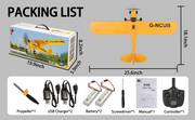 WLtoys A160 J3 Skylark 5 Channel RC Plane