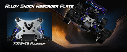 1:12 Brushless 4WD High Speed RC Buggy