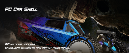 1:12 Brushless 4WD High Speed RC Buggy