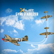 VOLANTEXRC 4 Channel P40 Fighter RC Airplane