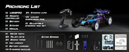 1:12 Brushless 4WD High Speed RC Buggy
