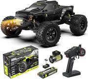 RIAARIO Carbon Fiber Omni Terminator 1:10 4WD Brushless Monster Truck