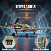 VOLANTEXRC 4 Channel P40 Fighter RC Airplane