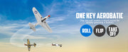 VOLANTEXRC 4 Channel P40 Fighter RC Airplane