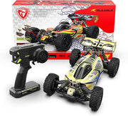 Rlaarlo DSK 1:8 4WD Brushless RC Buggy Car