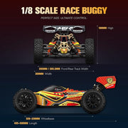 Rlaarlo DSK 1:8 4WD Brushless RC Buggy Car