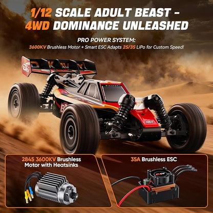 BX12 1:12 Brushless High Speed RC Buggy