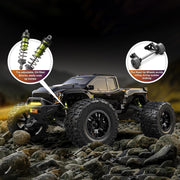 RIAARIO Carbon Fiber Omni Terminator 1:10 4WD Brushless Monster Truck