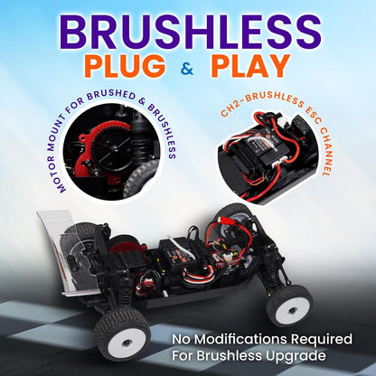 HOBBYPLUS Speck-B 1:24 2WD Mini RC Buggy