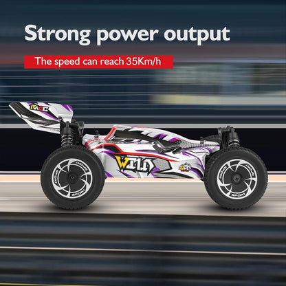 WLtoys 144016 1:14 4WD RC Racing Buggy Car