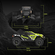 RIAARIO Carbon Fiber Omni Terminator 1:10 4WD Brushless Monster Truck